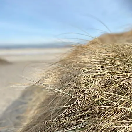 Appartement Strandstern *